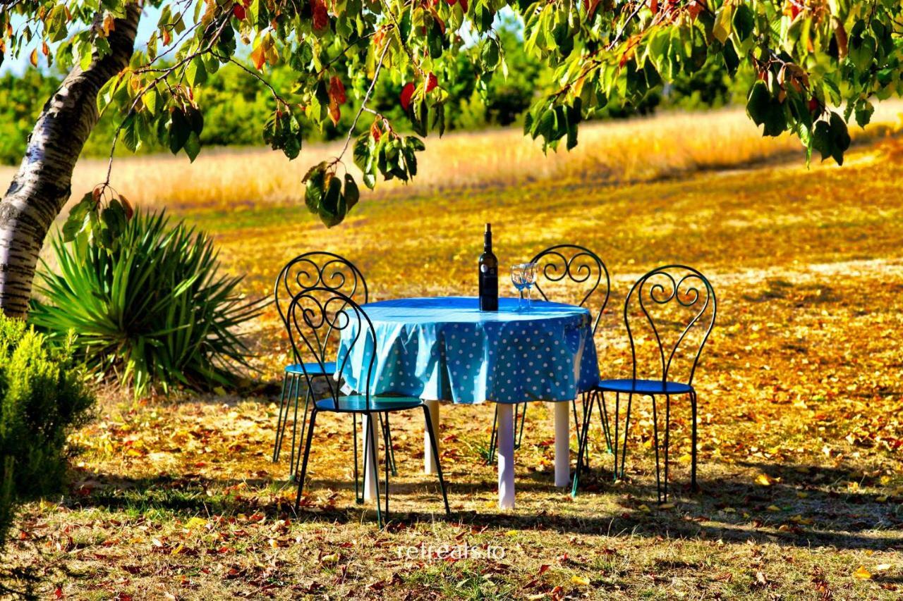 Вилла La Colle En Provence Main House Sigonce Экстерьер фото